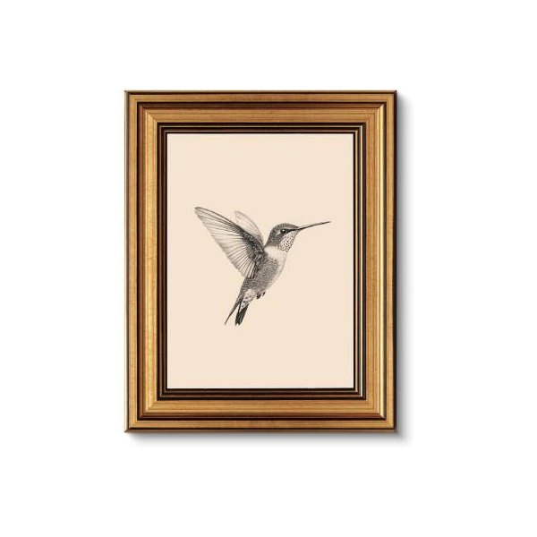 Birds Canvas Prints Home Decor